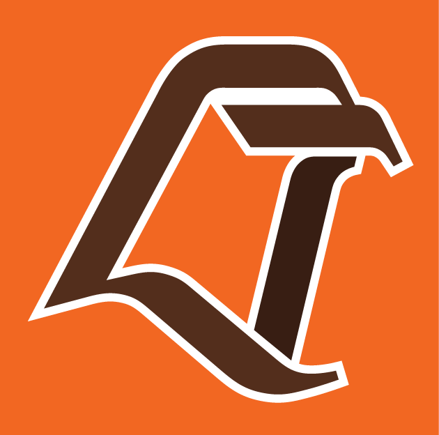 Bowling Green Falcons 1990-2005 Alternate Logo iron on transfers for clothing